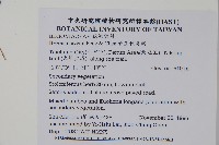 岩生秋海棠藏品圖，第2張