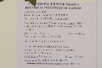 裂葉艾納香藏品圖，第2張