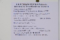 山桔梗藏品圖，第2張