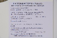 大本山梗菜藏品圖，第2張