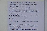 紅子莢迷藏品圖，第2張