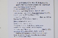 薄葉細辛、尾花細辛藏品圖，第2張