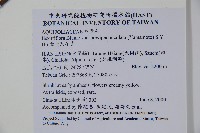 金平氏冬青藏品圖，第2張