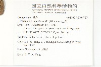 山菊藏品圖，第2張