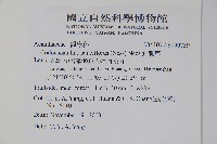 針刺草藏品圖，第2張