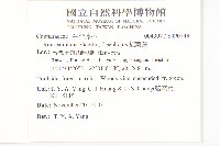 紅葉藤藏品圖，第2張