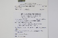 蘭嶼念珠藤藏品圖，第2張