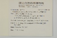 日本賽衛矛、日本假衛矛藏品圖，第2張