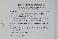 針刺草藏品圖，第2張