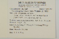 草珊瑚、紅果金粟蘭藏品圖，第2張