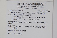 直立半插花藏品圖，第2張