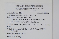 假川牛膝藏品圖，第2張