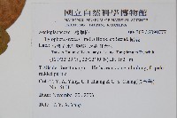 鷗蔓藏品圖，第2張