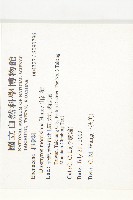 山紅柿藏品圖，第4張