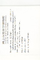 奧氏虎皮楠藏品圖，第2張