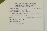 山白蘭藏品圖，第2張