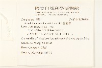 紅面番藏品圖，第2張