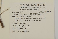 紫花霍香薊藏品圖，第2張