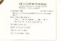 貓腥草藏品圖，第2張