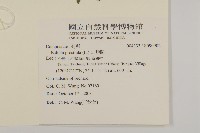 鱧腸藏品圖，第2張