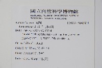 野莧菜藏品圖，第2張