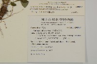 臺灣鬼督郵藏品圖，第2張