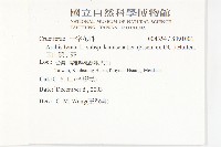 玉山筷子芥藏品圖，第2張