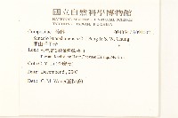 關山千里光藏品圖，第2張