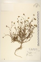 登錄號:S091009藏品圖，第1張