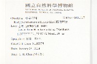 廣東葶藶藏品圖，第2張