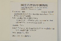 臺灣鬼督郵藏品圖，第2張