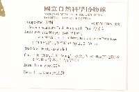 蔓黃菀藏品圖，第2張