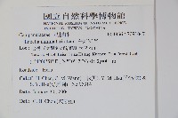 普刺特草藏品圖，第2張