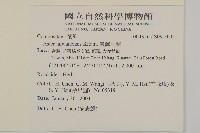 臺灣馬蘭藏品圖，第2張