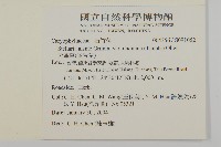 天蓬草、雀舌草藏品圖，第2張