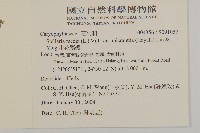 小花繁縷藏品圖，第2張