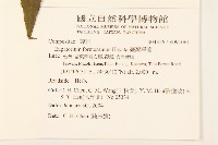 臺灣澤蘭藏品圖，第2張