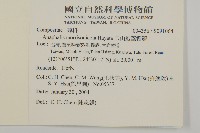 玉山抱莖籟簫藏品圖，第2張