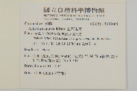 臺灣馬蘭藏品圖，第2張