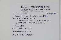 針刺草藏品圖，第2張