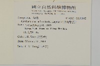 阿里山鬼督郵藏品圖，第2張