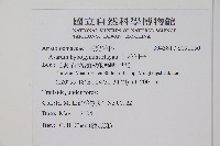 下花細辛藏品圖，第2張