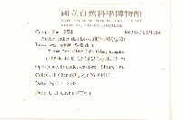 鯽魚膽、闊苞菊藏品圖，第2張