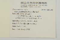 裸花鹼蓬藏品圖，第2張