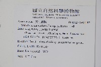 山橙藏品圖，第2張