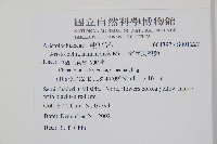 海南馬兜鈴藏品圖，第2張