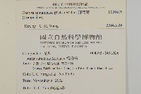 寄生藤藏品圖，第2張