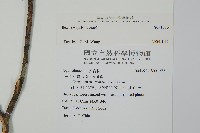 登錄號:S091273藏品圖，第2張