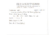 臺灣青木香藏品圖，第2張