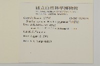 玉山石竹藏品圖，第2張